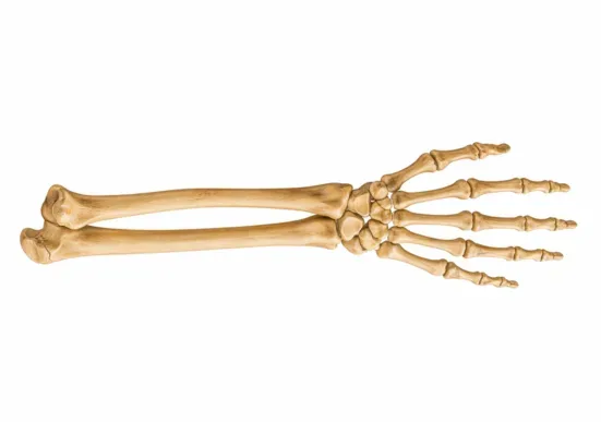 Osteosynthesis for fractures