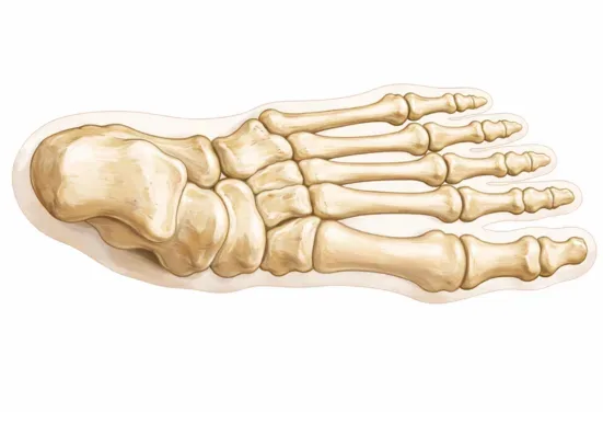 Correction of foot deformities